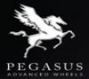 Pegasus