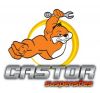 Castor Suspes�es
