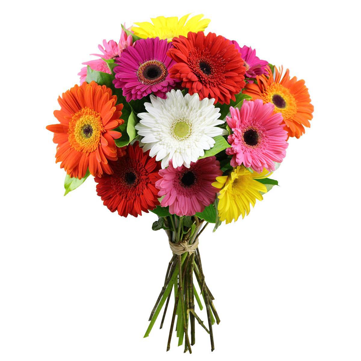 Significado das Flores 2